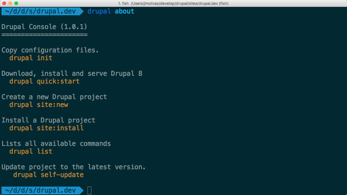 Drupal Console terminal output