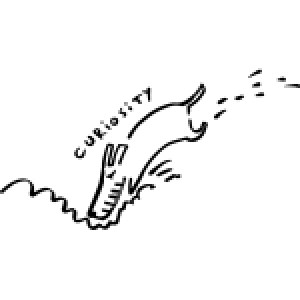 A cartoon of a barcode-nosed dog diving into water with the word "Curiosity" written above it.